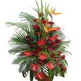 潭ʻٵ