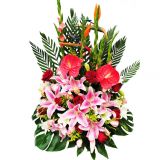 潭ʻٵ